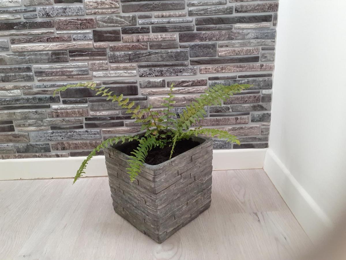 Apartment Siesta Split Zewnętrze zdjęcie